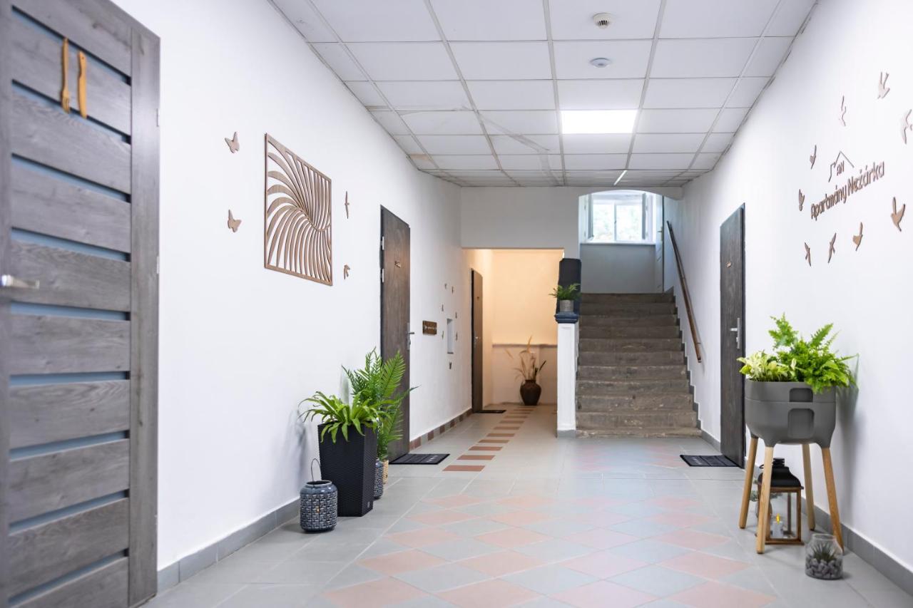 Apartmany Nezarka A Privatni Wellness Йиндржихув-Градец Экстерьер фото